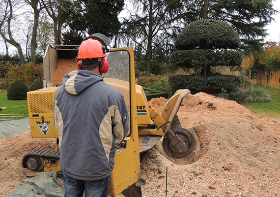 Les atouts de Simon Elagage pour entretenir votre jardin